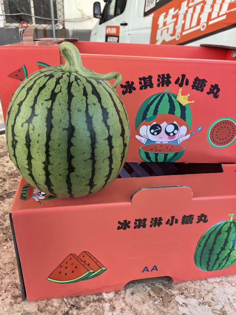 2K西瓜小糖丸西瓜早春红玉西瓜电商货市场货