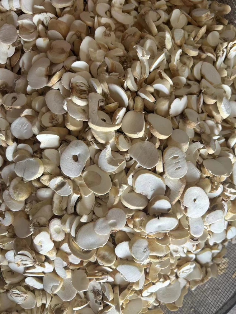 山东平价药材贝母片，大量供应，质量保证，价格公道