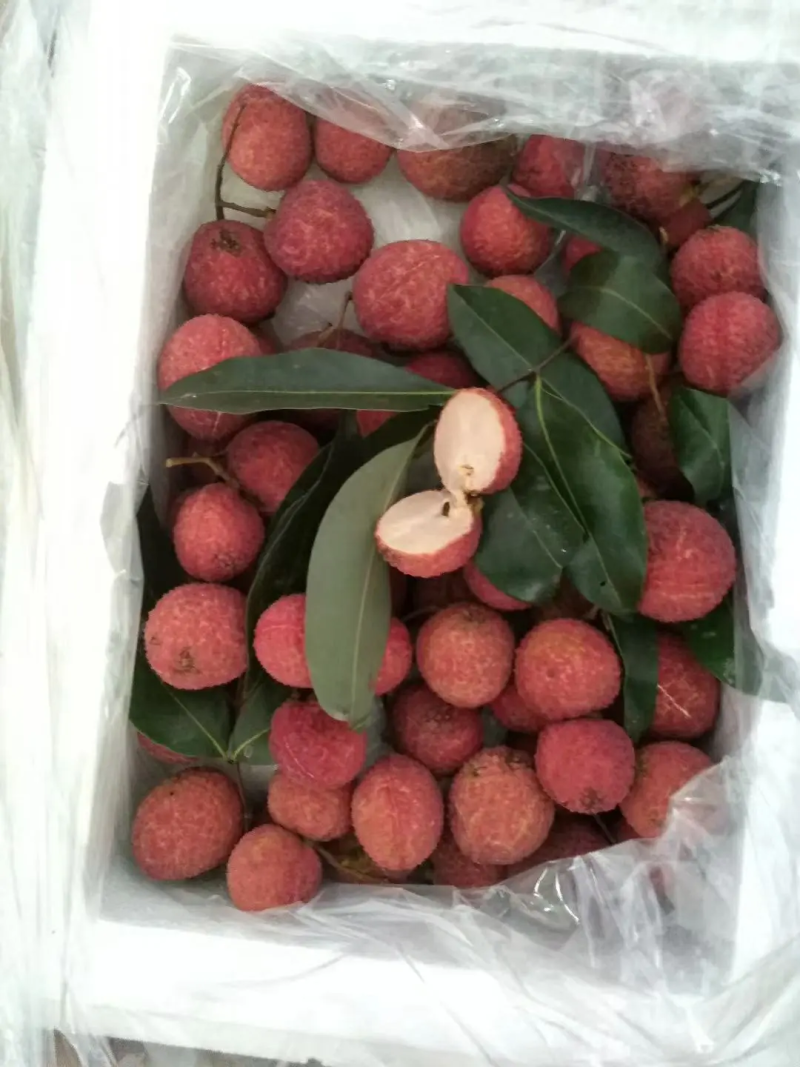 无核荔枝海南精品无核荔枝保质保量全国冷链发货欢迎下单