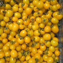 赤峰市喀喇沁旗水果小柿子