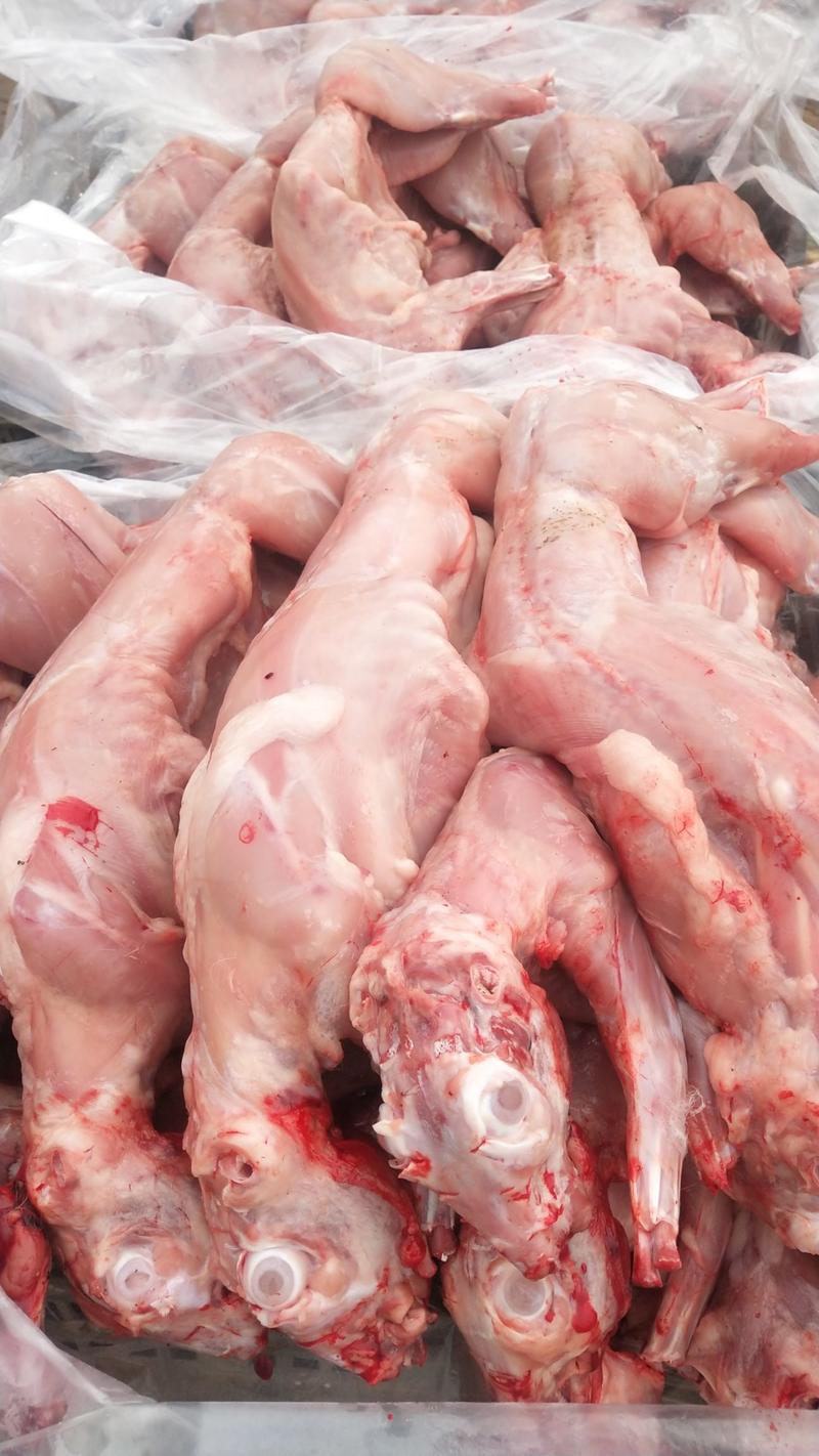 四川省自贡市正宗生鲜兔新鲜现杀真空包装冷藏发货