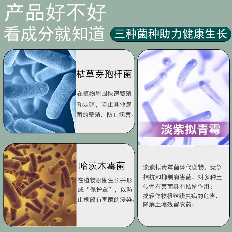 抗根腐重茬肥料微生物菌剂抑菌抗菌