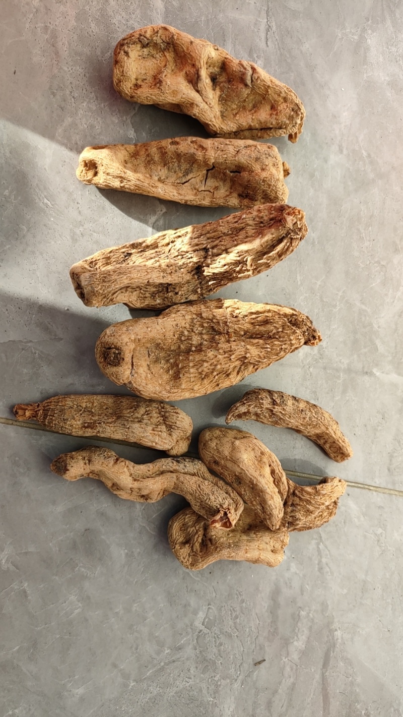 鲜天麻
