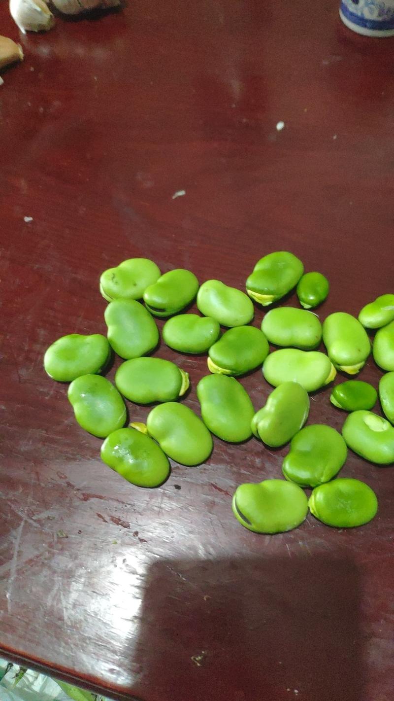 新鲜湿蚕豆