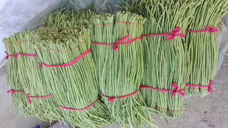 长豆角翠绿色每根60公分以上条好又嫩