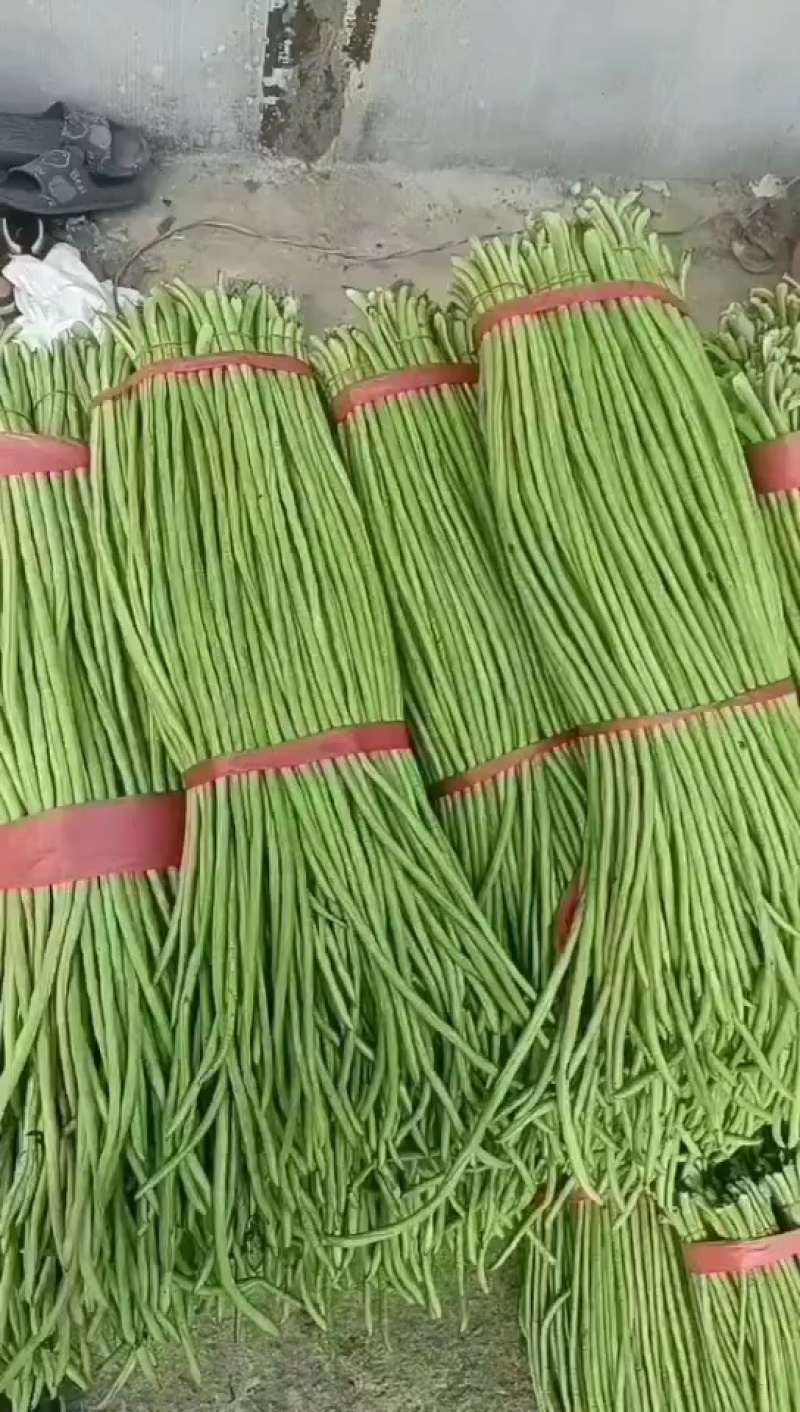 长豆角翠绿色每根60公分以上条好又嫩