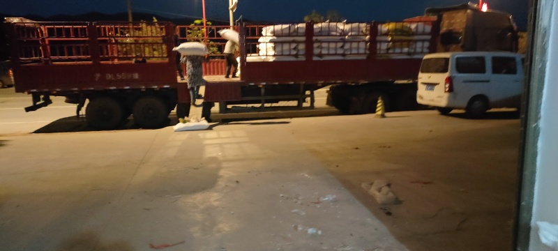 云南精品野生茯苓，规格齐全，价格真实，货量充足欢迎选购