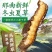 2024新鲜虫草那曲鲜冬虫夏草头期头茬虫草雪山包邮