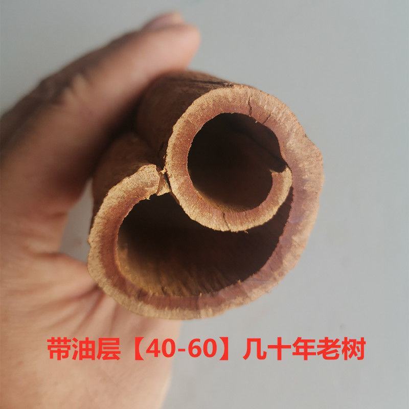 越南油桂肉桂高山紫油桂清化油桂批发广西桂皮香料中药材