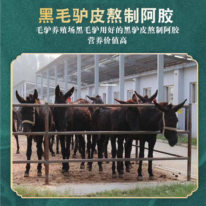 南京同仁堂阿胶片阿胶块驴皮熬制好阿胶礼盒装250g阿
