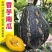 香芋南瓜大量现货质量保证对接商超