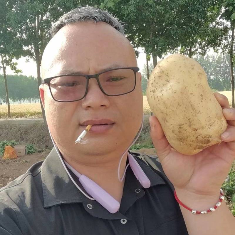 土豆沃土毛毛钱上车，基地直发全国龚垒代发货