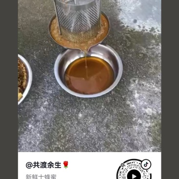 贵州农家养蜜