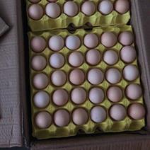 蛋品优质，货源充足全国批发量大从优让您采购放心！
