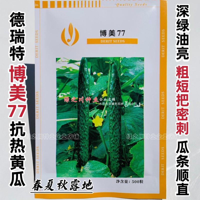 德瑞特抗热黄瓜种子博美77耐热短把密刺黄瓜种籽深绿油亮