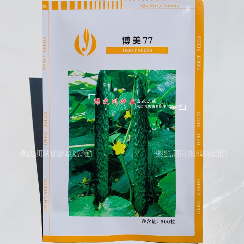 德瑞特抗热黄瓜种子博美77耐热短把密刺黄瓜种籽深绿油亮