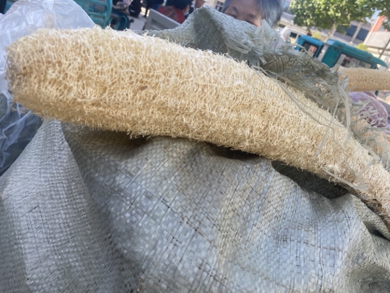 丝瓜络