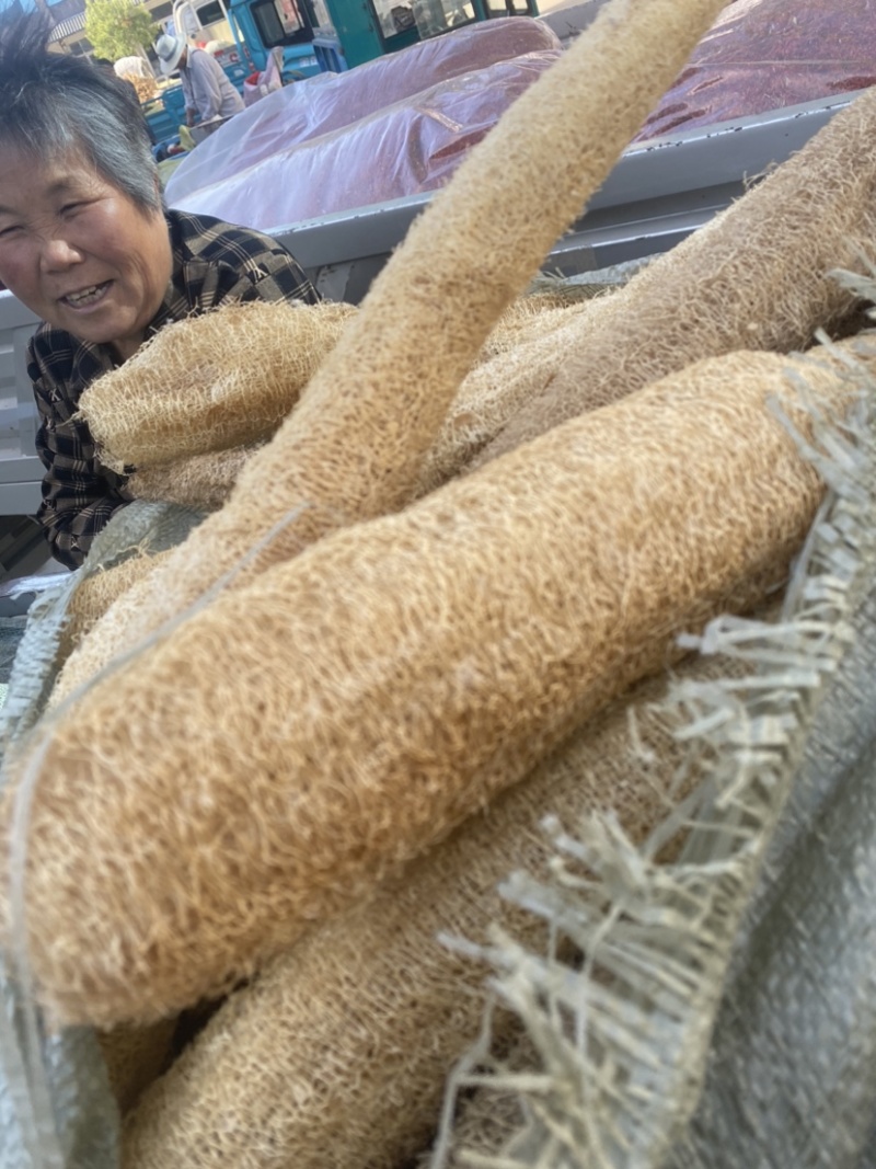 丝瓜络