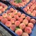 精品毛桃！美脆突围红不软黄桃等品种齐全，大量供应中！
