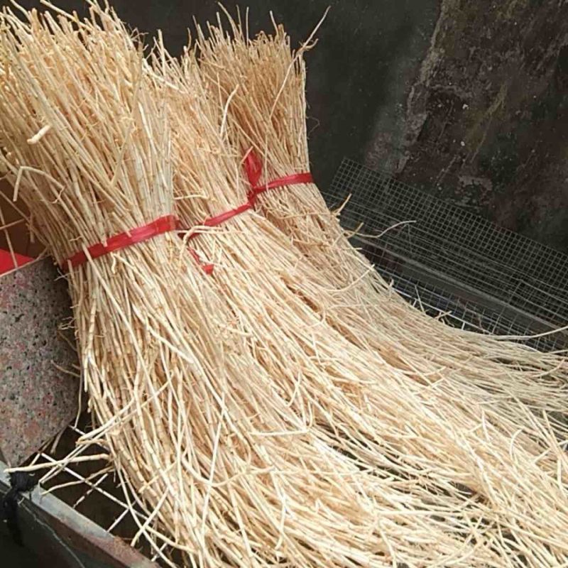 白茅根