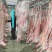 内蒙白条羊烤全羊产地直发货源充足可发鲜肉可发冻肉