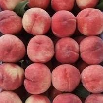 油桃毛桃品种齐全，产地对接一手货源。按客户需求收货包装。