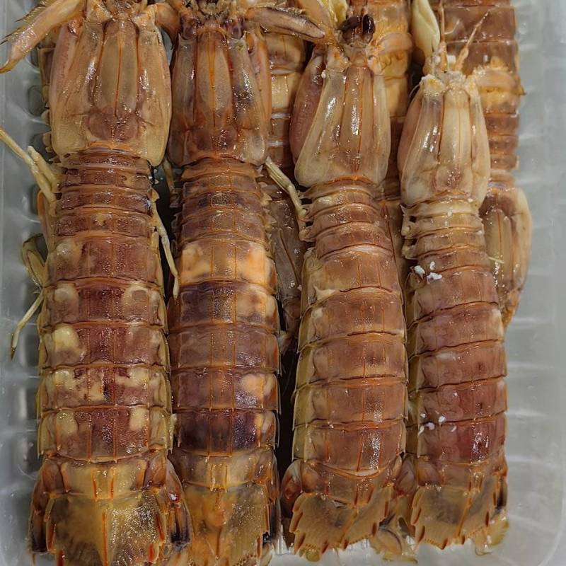 硬壳皮皮虾