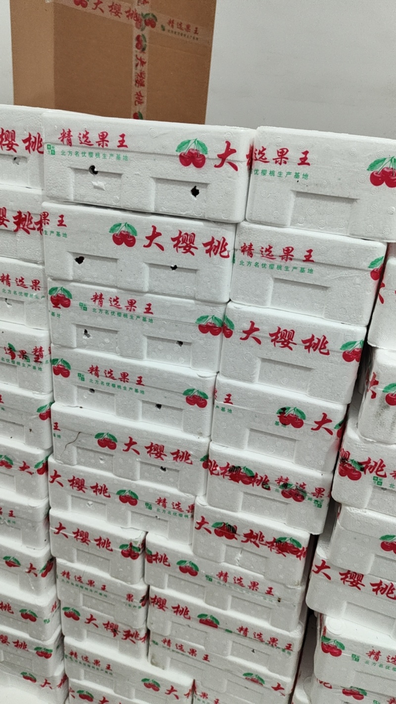 山东美早先锋樱桃～一件代发抖音快手拼多多电商货～京东直发