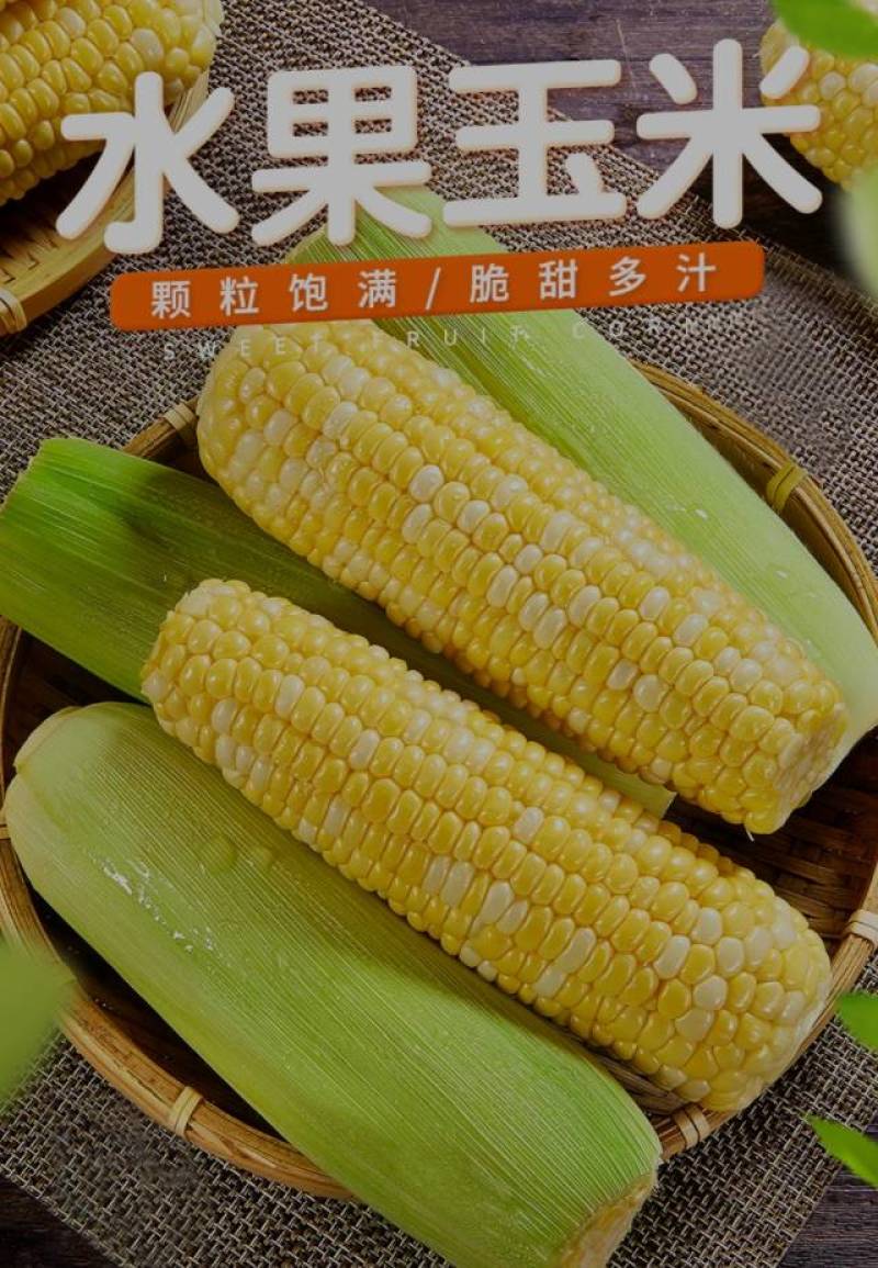 基地产甜玉米（黄白、太阳花玉米、糯玉米）大量有现货