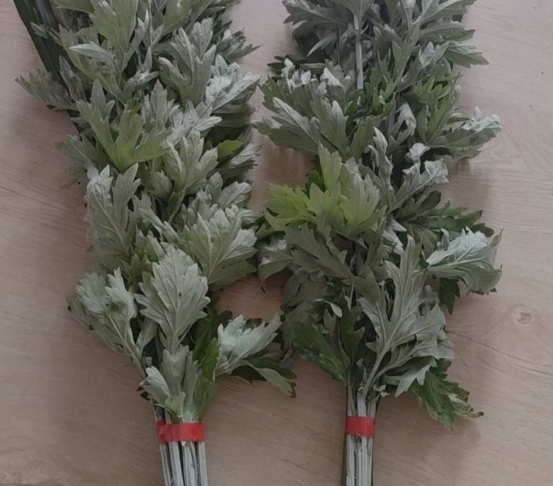 艾草，端午节艾草，一把五颗，八颗，十颗，可根据客户要求定