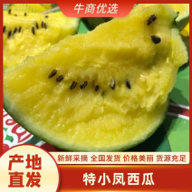 【热】东台精品特小凤西瓜，可视频看货选货，以质论价