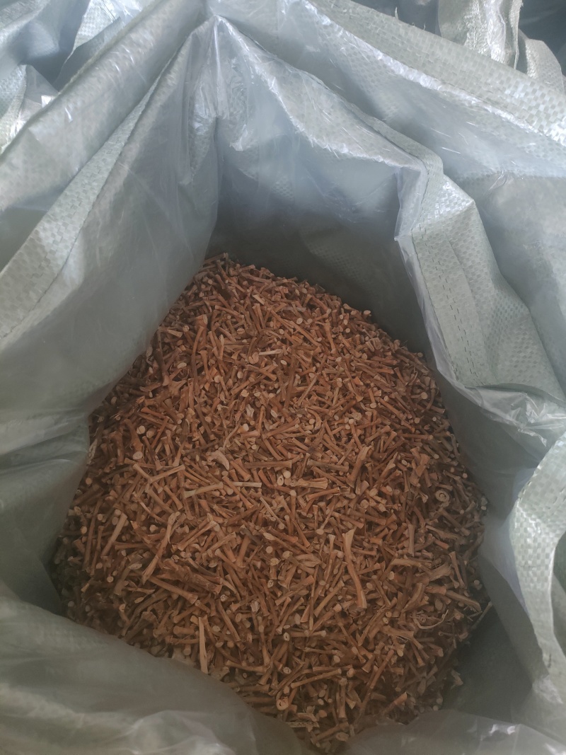 春砂仁根干货，无硫，产地直发，品质保证，欢迎电商合作洽谈