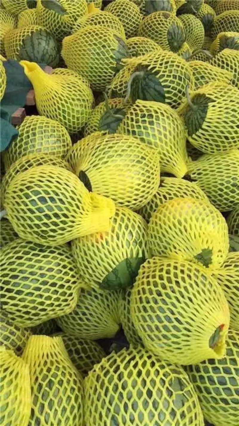 【热】东台精品特小凤西瓜，可视频看货选货，以质论价