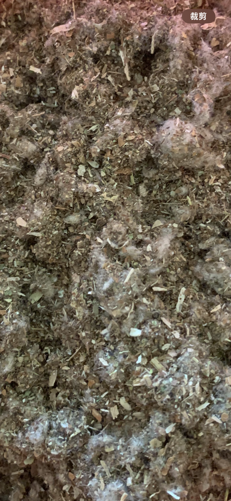 大量供应棉渣，厂家直发，量大从优，欢迎咨询规格齐全。