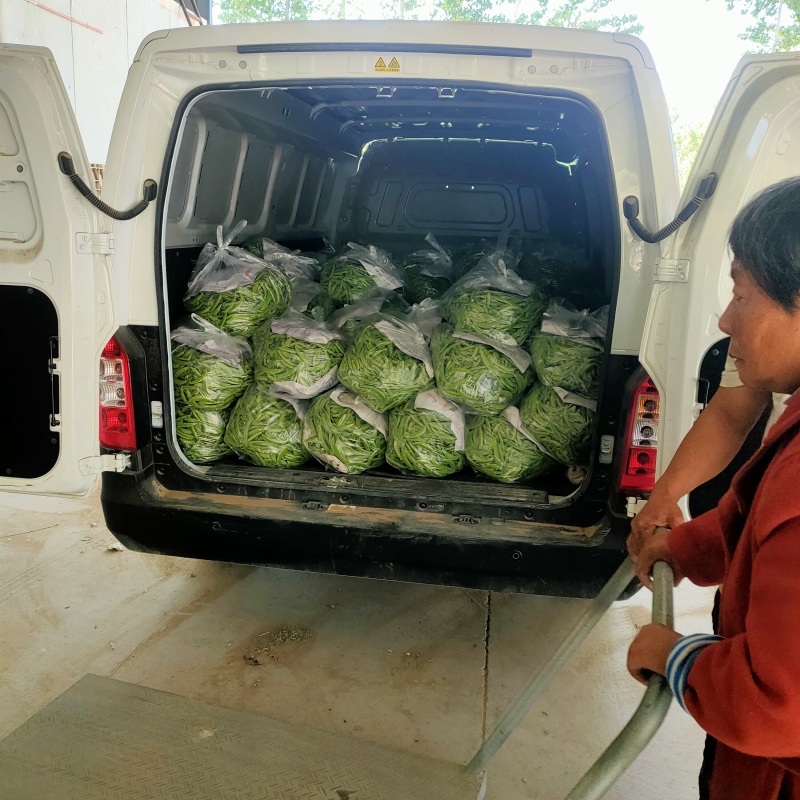 甜豆基地，色泽亮丽味道甜鲜可生吃，水果甜豆直供商超批市场
