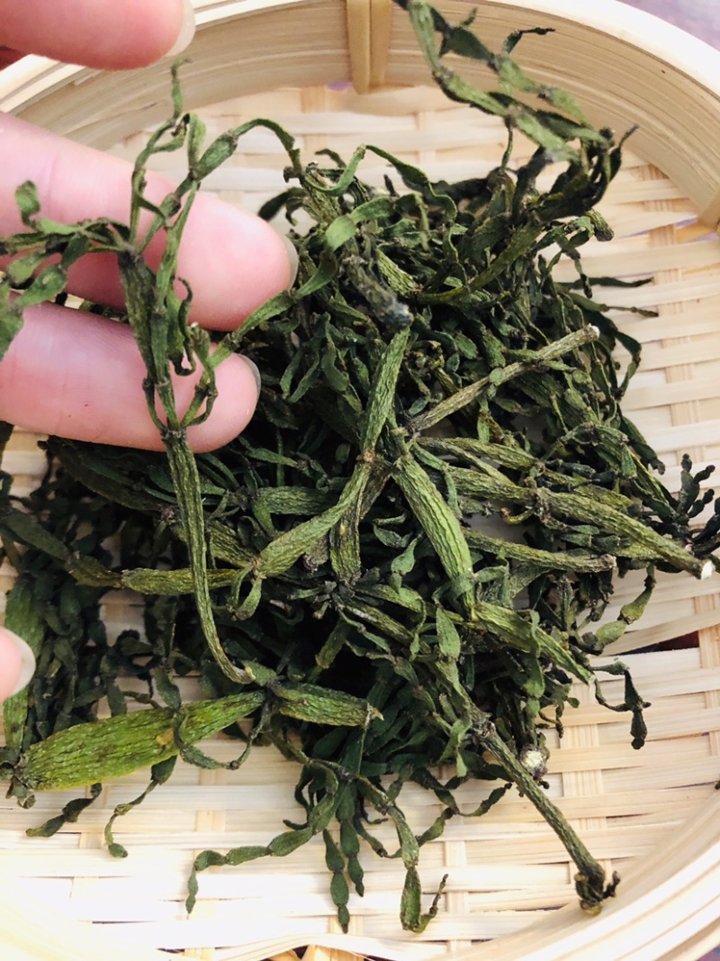 螃蟹脚寄生茶树螃蟹脚颜色绿螃蟹脚