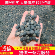 脐橙枳实规格齐全干度好皮厚含量高欢迎各大商家合作