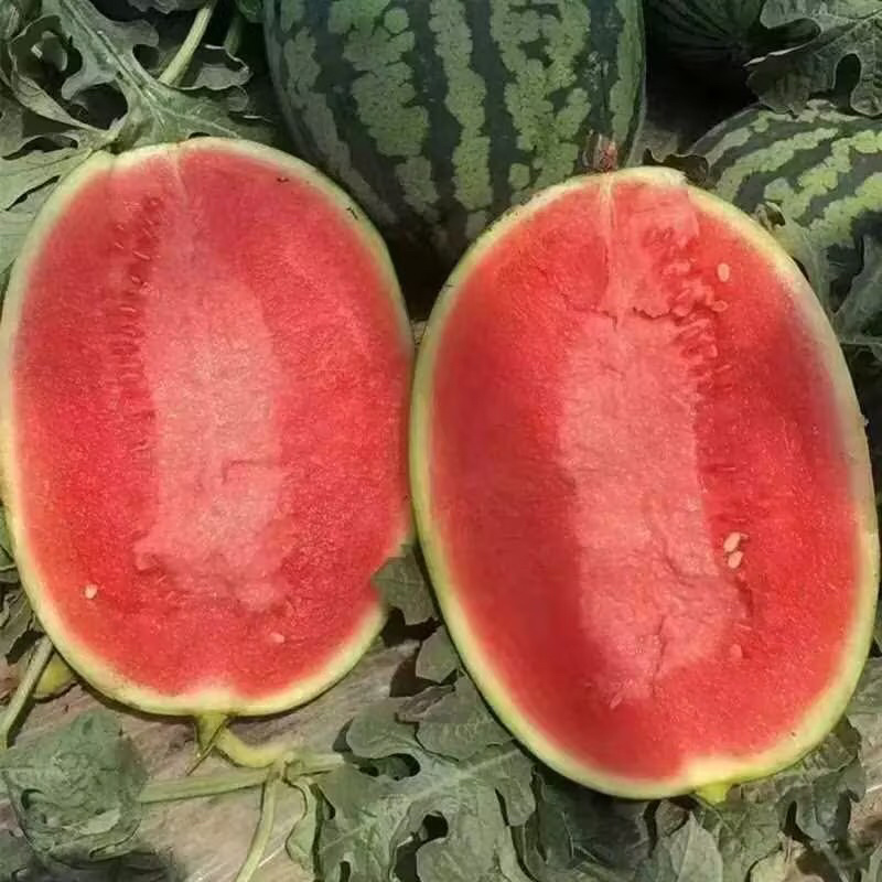 精品甘美4k西瓜，头茬瓜，货量足规格齐全
