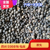 四川产地柑枳实现货上市大小规格货源充足欢迎来电