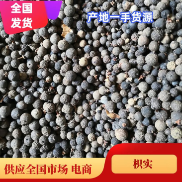 四川产地柑枳实现货上市大小规格货源充足欢迎来电