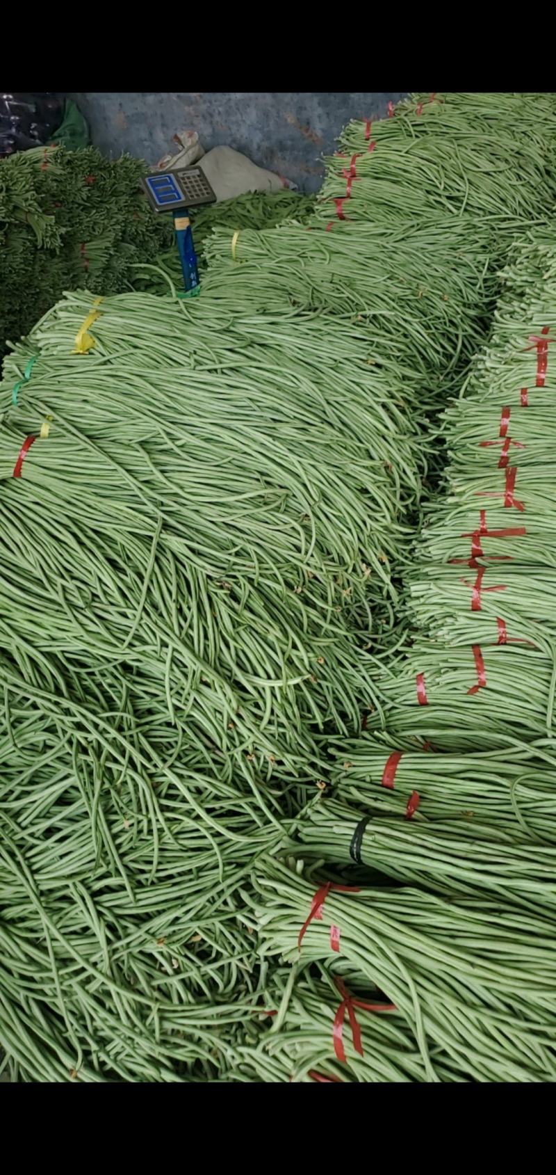 长豆角，豇豆，超市货，电商货，赶集货