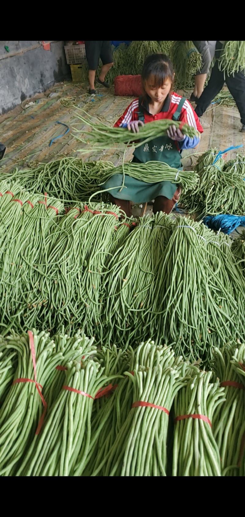 长豆角，豇豆，超市货，电商货，赶集货