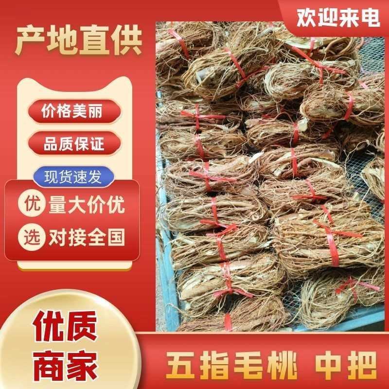 五指毛桃中把五爪龙无硫产品奶香浓郁煲汤佳品