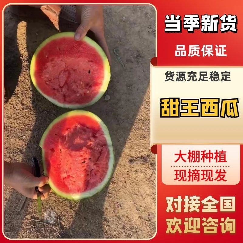 甜王西瓜，大红干瓤瓜密度好糖分高，大量上市、全国代发。