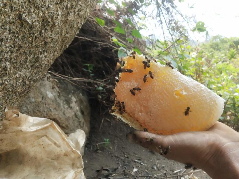 生态蜂蜜、野生葛根片