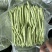 四季豆，江苏家梅四季豆无筋豆品质保证量大从优