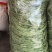 四季豆，江苏家梅四季豆无筋豆品质保证量大从优