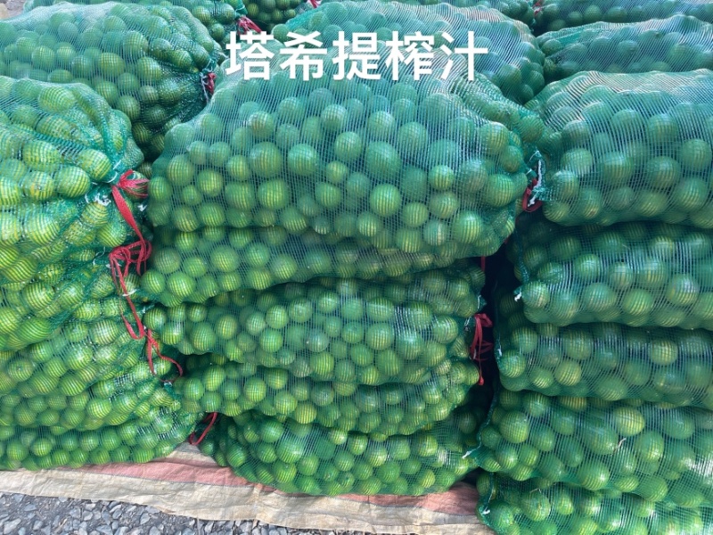 榨汁塔希提无籽青柠榨汁果工厂果皮薄多汁货量大稳定