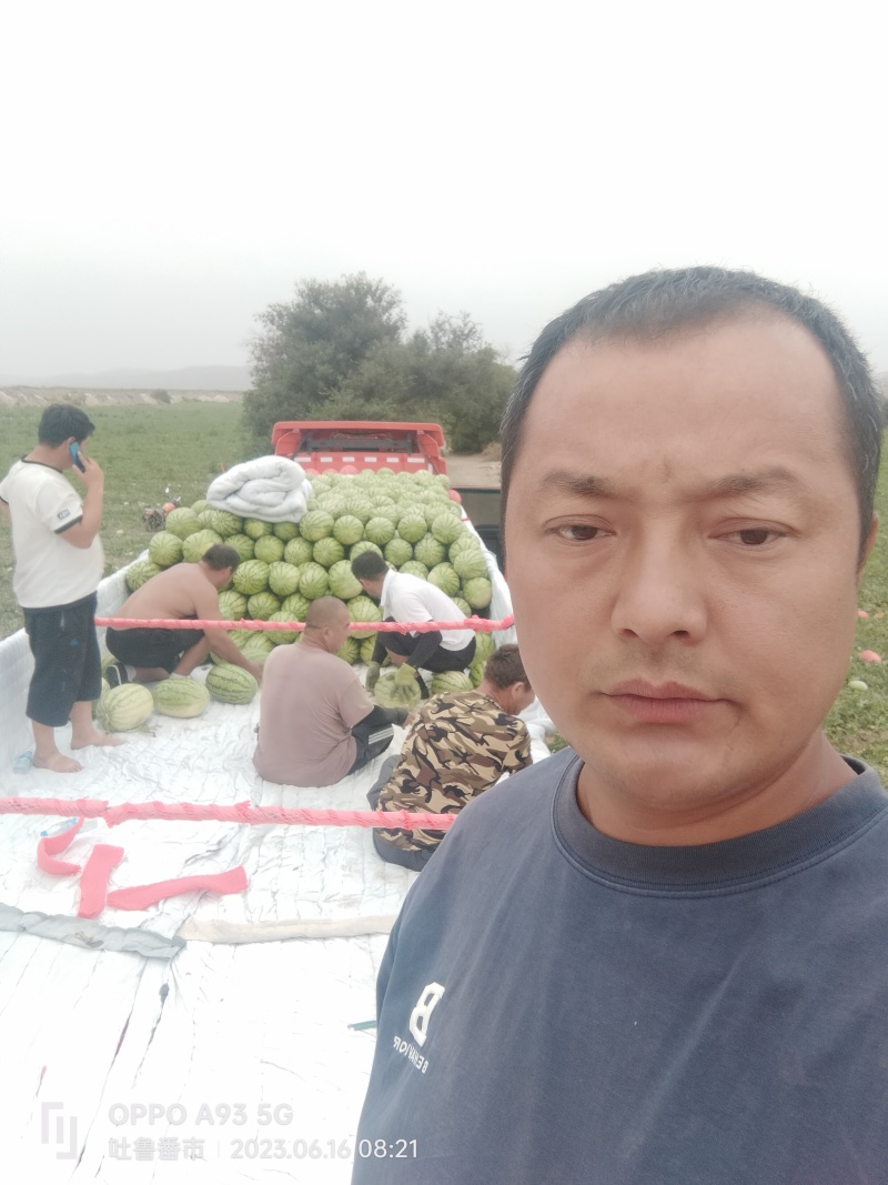 新疆吐鲁番金城西瓜