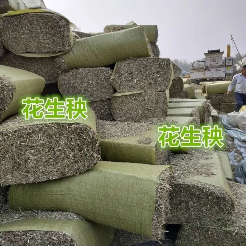 花生秧大量上市，常年供应，营养丰富，欢迎采购